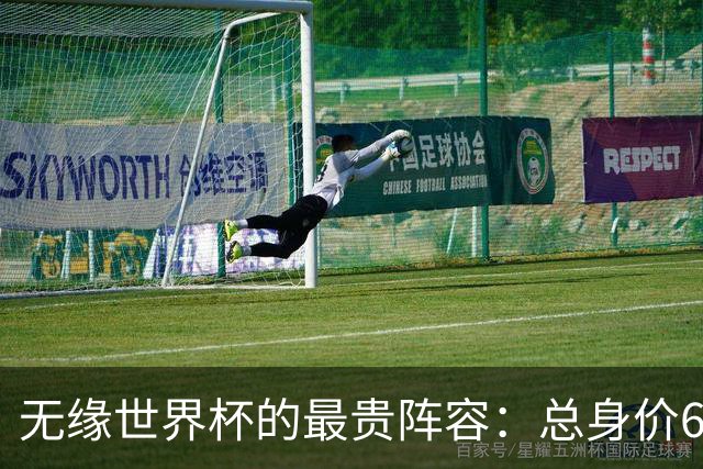 无缘世界杯的最贵阵容：总身价6.7亿 意大利5人